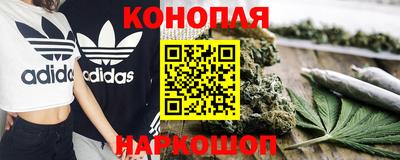 стафф Бийск