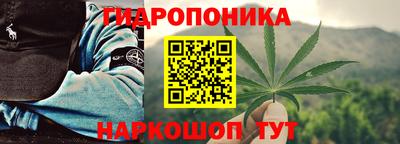 стафф Бийск