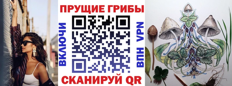 ОМГ ОМГ вход  Ефремов  Галлюциногенные грибы прущие грибы  где купить наркоту 