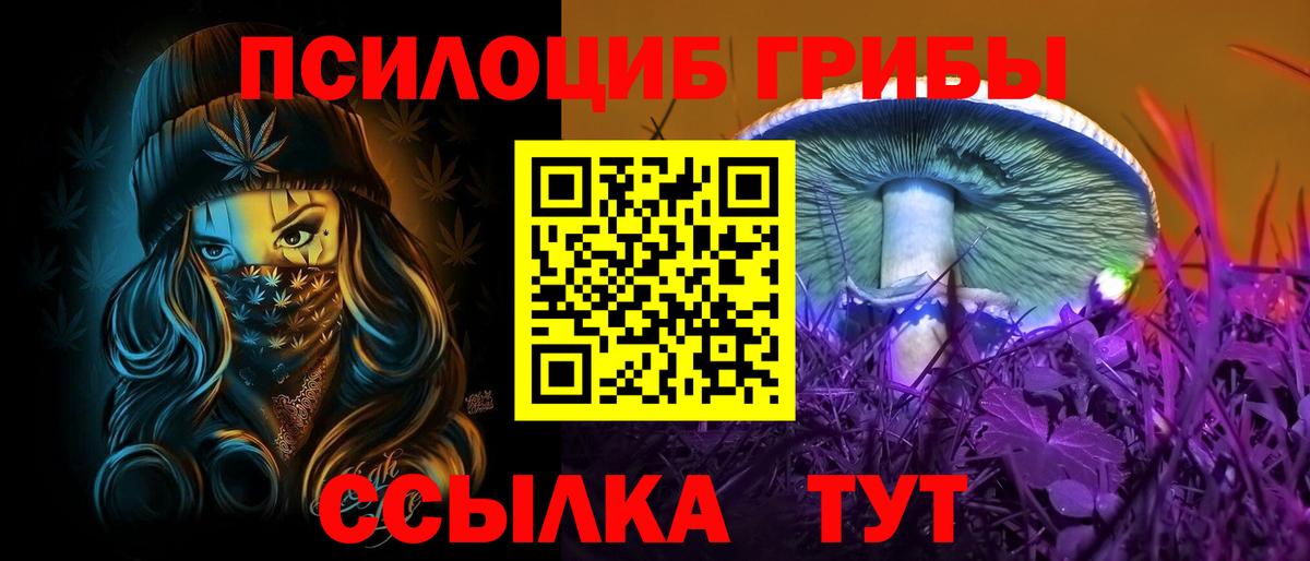 Псилоцибиновые грибы Psilocybine cubensis  Псилоцибиновые грибы ЛСД  Ефремов  Вход с VPN 