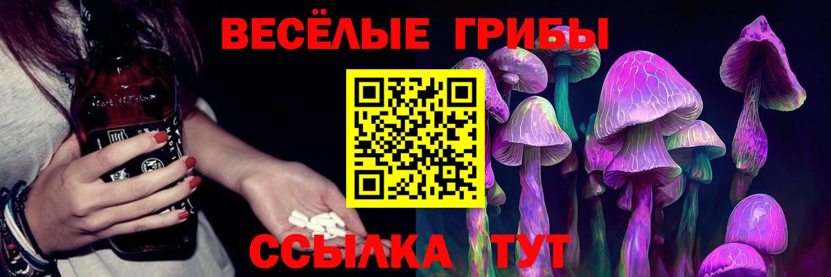 Псилоцибиновые грибы Psilocybe  Ефремов 